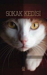 Sokak Kedisi - 1