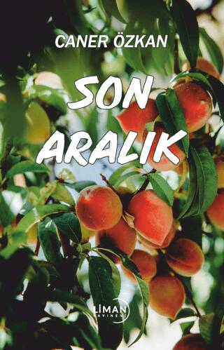 Son Aralık - 1