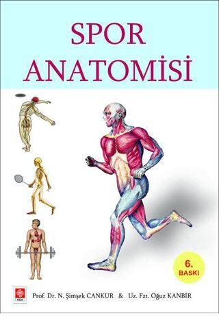 Spor Anatomisi - 1