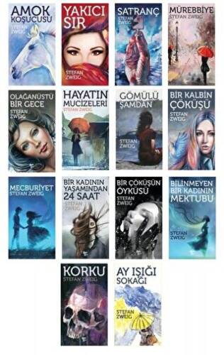 Stefan Zweig Seti 14 Kitap Takım - 1