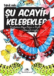 Şu Acayip Kelebekler - 1