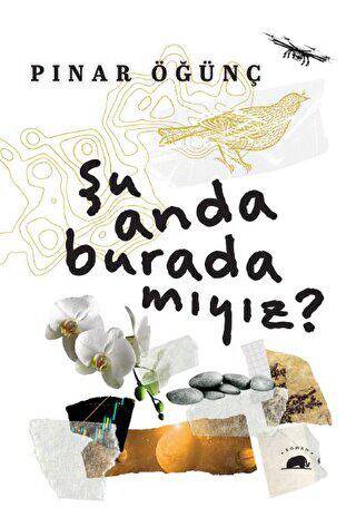 Şu Anda Burada Mıyız? - 1