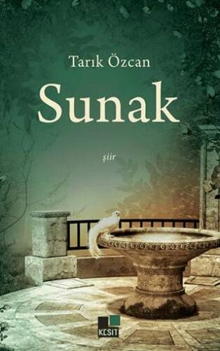 Sunak - 1