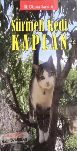 Sürmeli Kedi Kaplan - 1