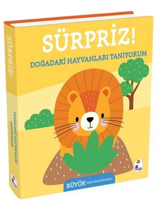 Sürpriz! – Doğadaki Hayvanları Tanıyorum - 1