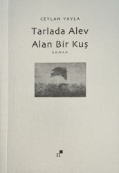 Tarlada Alev Alan Bir Kuş - Norgunk Yayıncılık