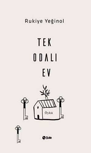 Tek Odalı Ev - 1