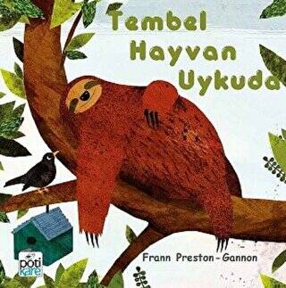 Tembel Hayvan Uykuda - 1