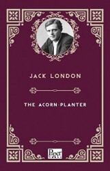 The Acorn - Planter - 1