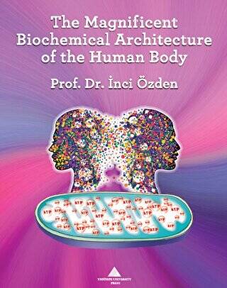 The Magnificent Biochemical Architecture of the Human Body - 1