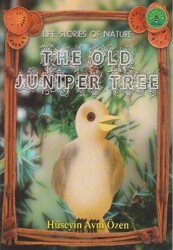 The Old Juniper Tree - 1
