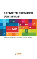 The Poverty of Disadvantaged Groups in Turkey - 1