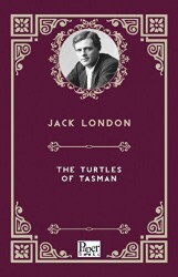 The Turtles of Tasman - 1