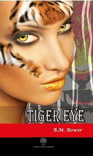 Tiger Eye - 1