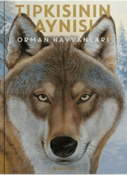 Tıpkısının Aynısı - Orman Hayvanları - Usturlab Kitap
