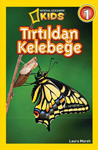 Tırtıldan Kelebeğe - 1