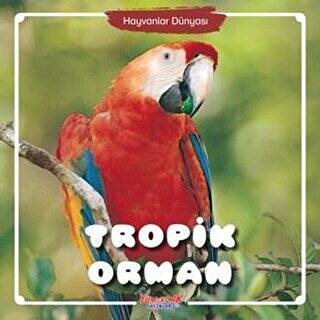 Tropik Orman - Hayvanlar Dünyası - 1