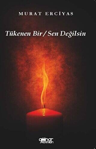 Tükenen Bir Sen Değilsin - 1