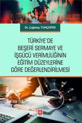 Türkiye`de Beşeri Sermaye ve İşgücü Verimliliğinin Eğitim Düzeylerine Göre Değerlendirilmesi - 1