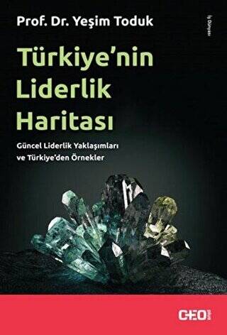 Türkiye’nin Liderlik Haritası - 1