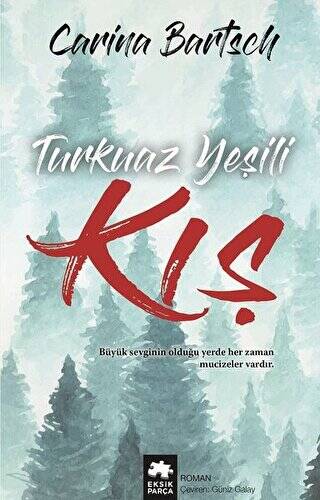 Turkuaz Yeşili Kış - 1