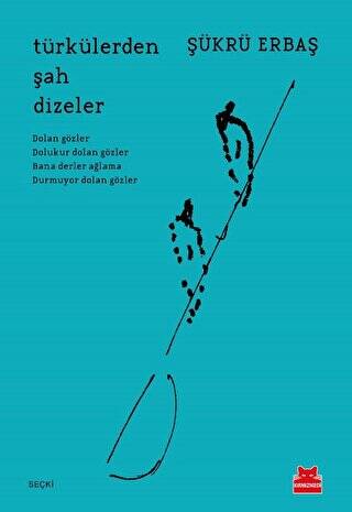 Türkülerden Şah Dizeler - 1