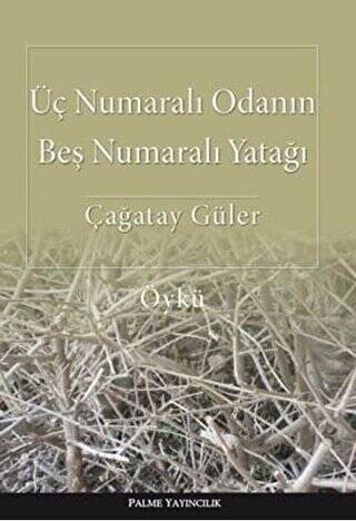 Üç Numaralı Odanın Beş Numaralı Yatağı - 1