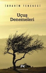 Uçuş Denemeleri - 1