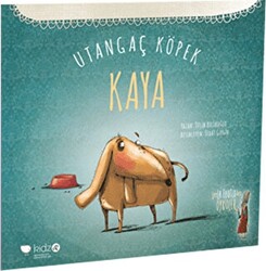 Utangaç Köpek Kaya - 1