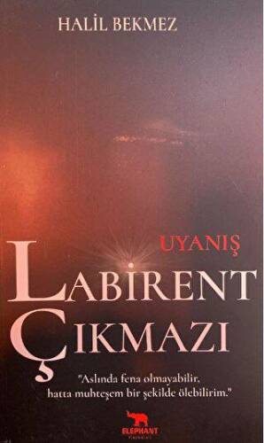 Uyanış Labirent Çıkmazı - 1