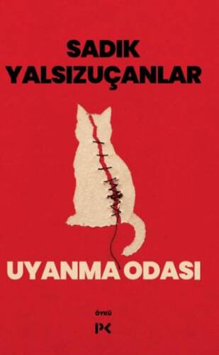Uyanma Odası - 1