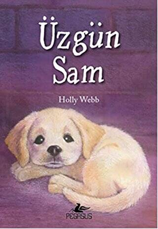 Üzgün Sam - 1