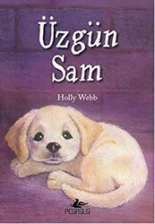 Üzgün Sam - Pegasus Çocuk Yayınları