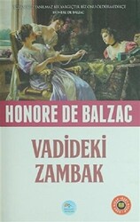 Vadideki Zambak Özet Kitap - 1