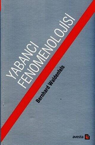 Yabancı Fenomonolojisi - 1