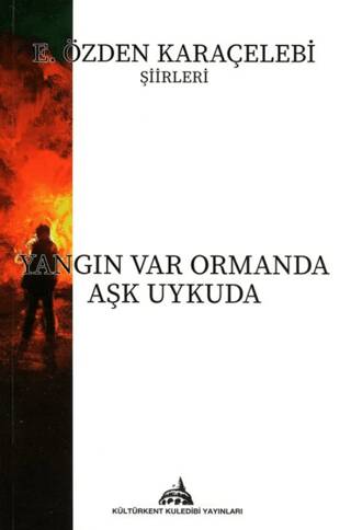 Yangın Var Ormanda Aşk Uykuda - 1