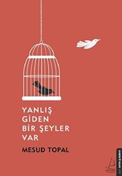 Yanlış Giden Bir Şeyler Var - 1