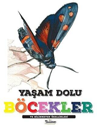 Yaşam Dolu Böcekler ve Bilinmeyen Özellikleri - 1