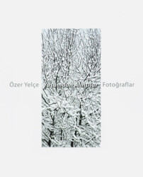 Yaşamdan Alıntılar - Masa Yayınevi