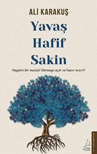 Yavaş Hafif Sakin - 1
