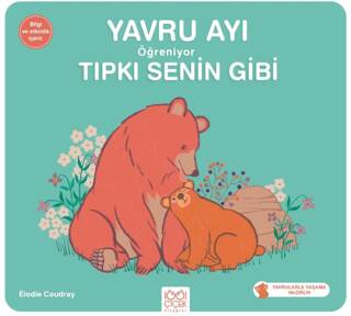 Yavru Ayı Öğreniyor Tıpkı Senin Gibi - 1
