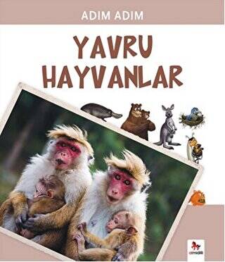 Yavru Hayvanlar - 1