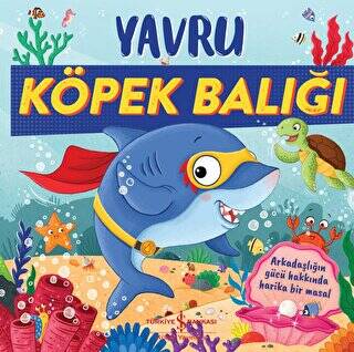 Yavru Köpek Balığı - 1