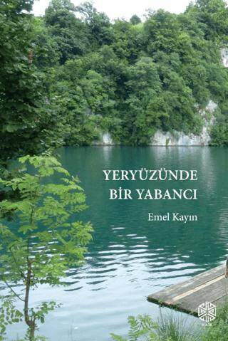 Yeryüzünde Bir Yabancı - 1