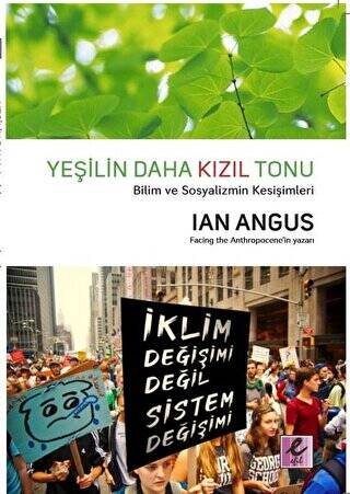 Yeşilin Daha Kızıl Tonu - 1