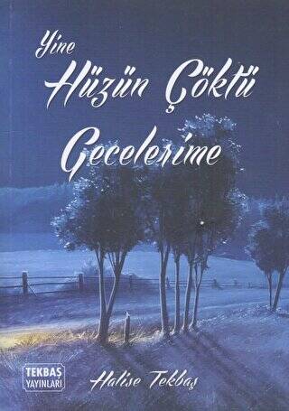 Yine Hüzün Çöktü Gecelerime - 1