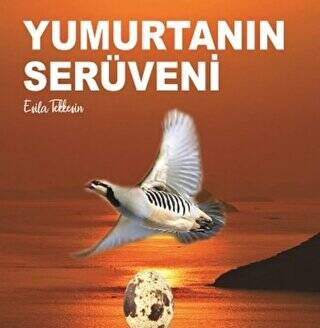 Yumurtanın Serüveni - 1