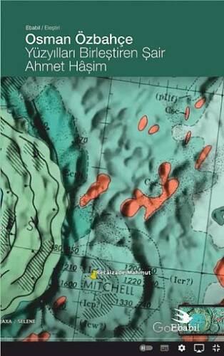 Yüzyılları Birleştiren Şair Ahmet Hâşim - 1