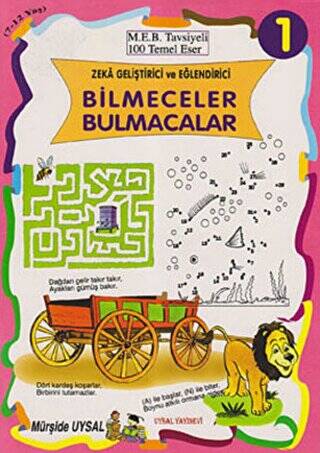 Zeka Geliştirici ve Eğlendirici Bilmeceler Bulmacalar 10 Kitap Takım - 1