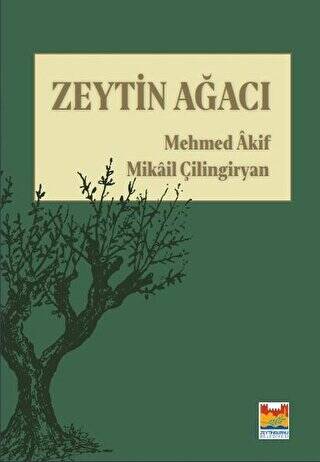 Zeytin Ağacı - 1